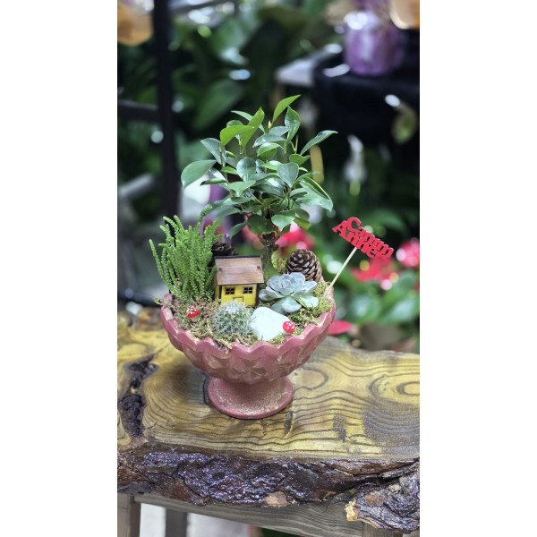 Mini Bahçe
